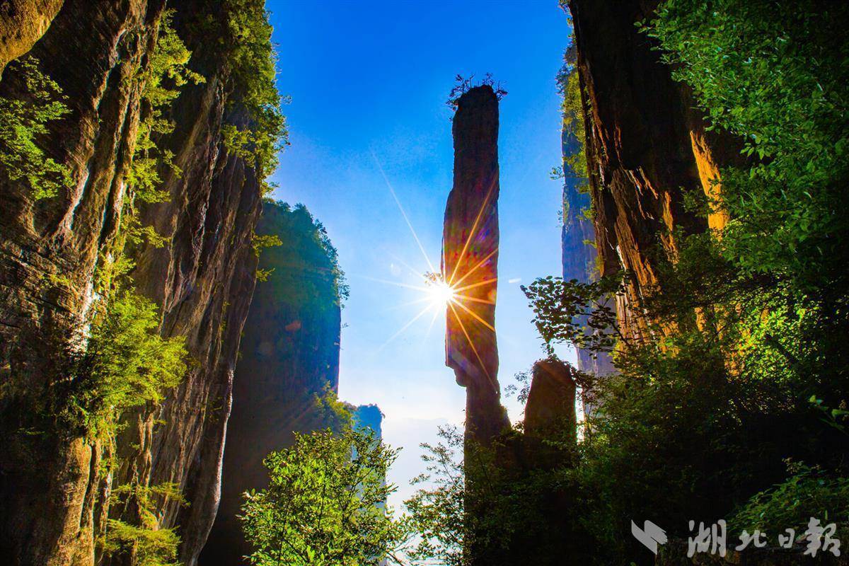 打鱼游戏